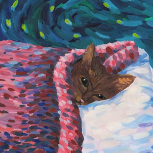 Sleepyhead preview